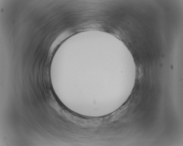 X0000062670004200601181912