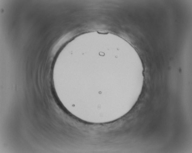 X0000062670007200601181912