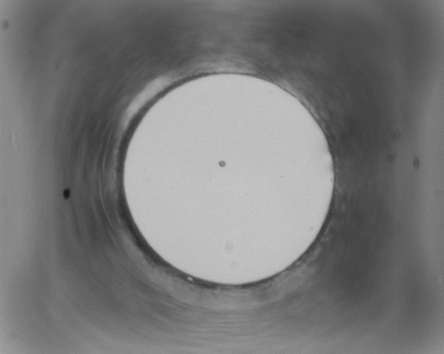 X0000062670008200601181912