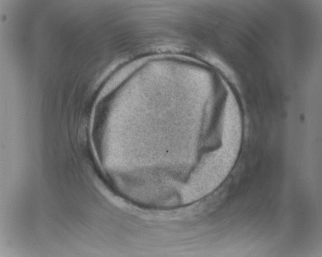 X0000062670009200601181912