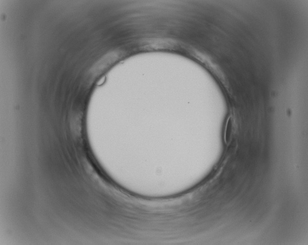 X0000062670010200601181912