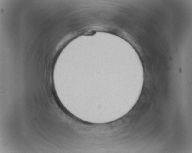 X0000062670011200601181912