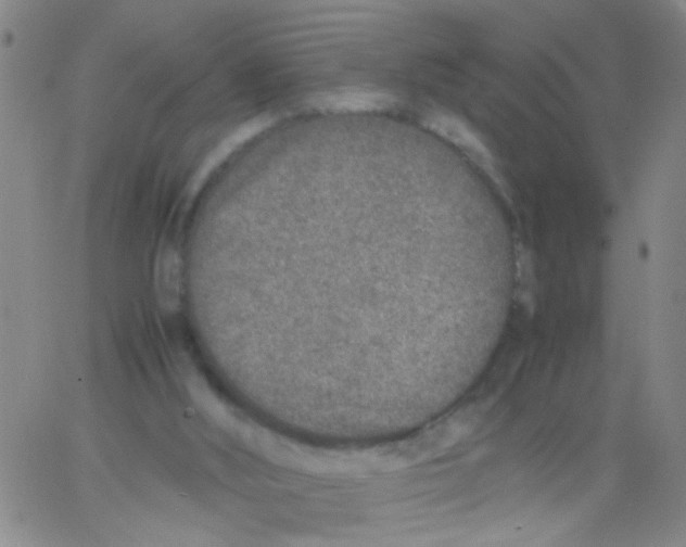 X0000062670012200601181912