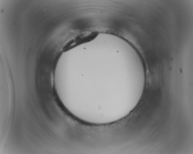 X0000062670013200601181912