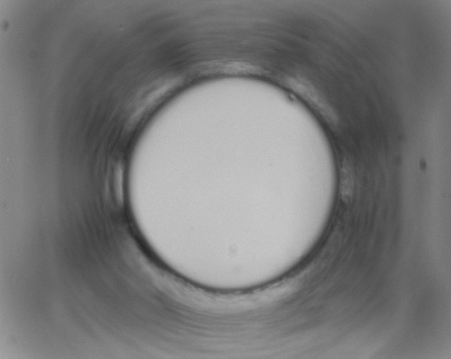 X0000062670014200601181912