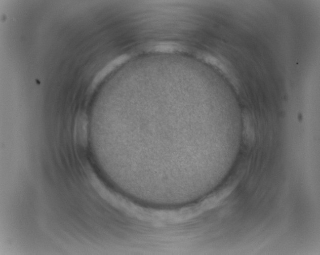 X0000062670016200601181912