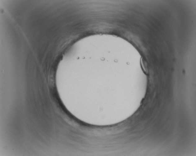 X0000062670017200601181912