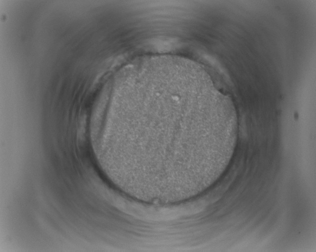 X0000062670018200601181912