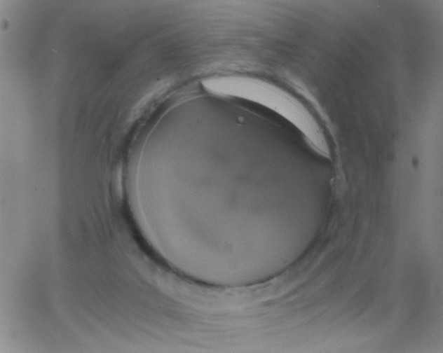 X0000062670019200601181912