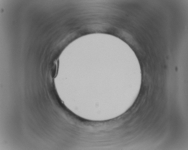 X0000062670021200601181912