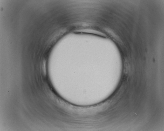 X0000062670022200601181912