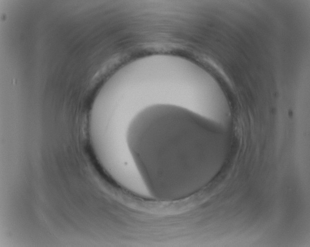 X0000062670023200601181912