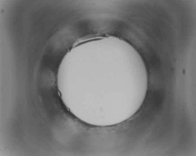 X0000062670025200601181912