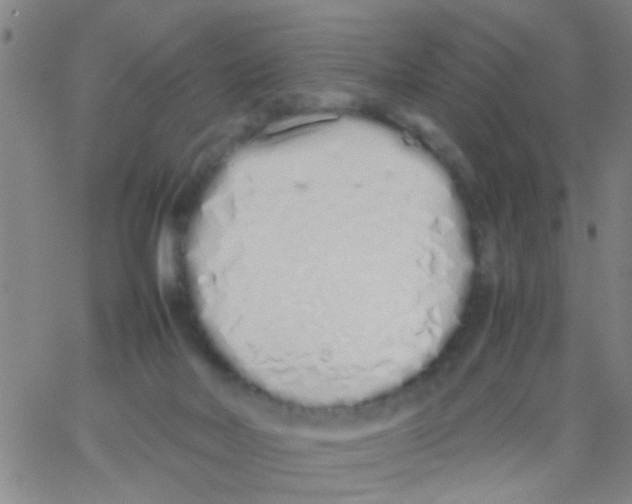 X0000062670026200601181912