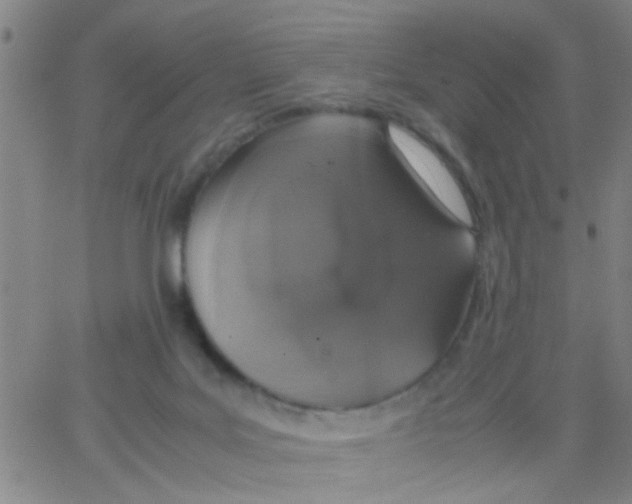 X0000062670027200601181912