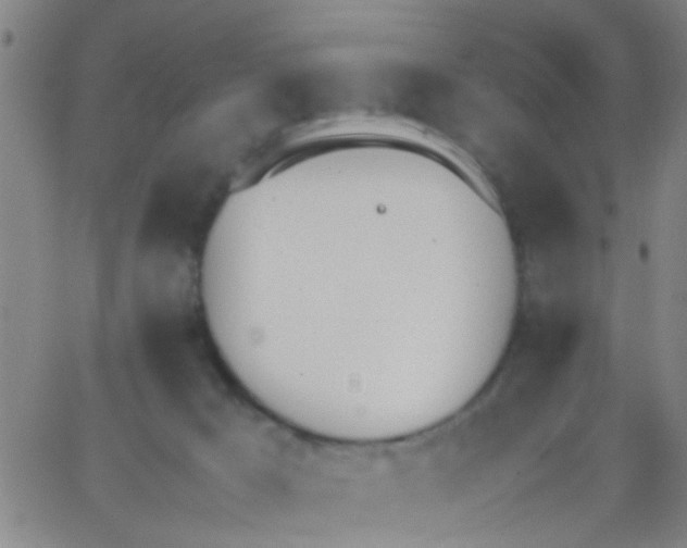 X0000062670029200601181912