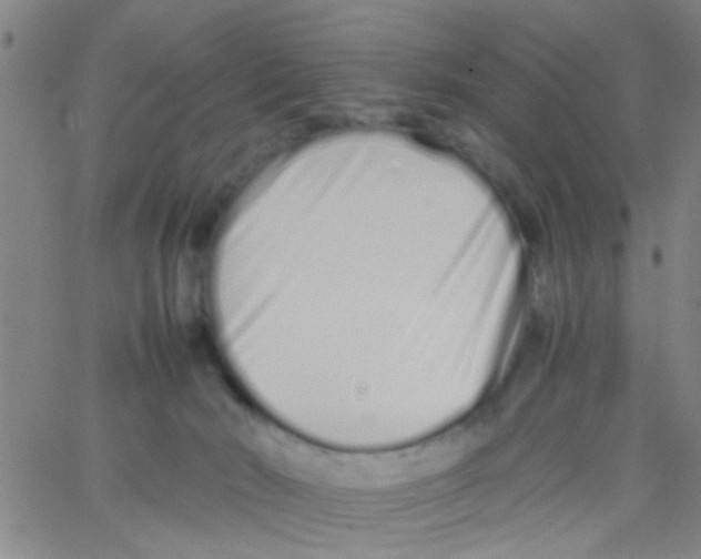 X0000062670030200601181911