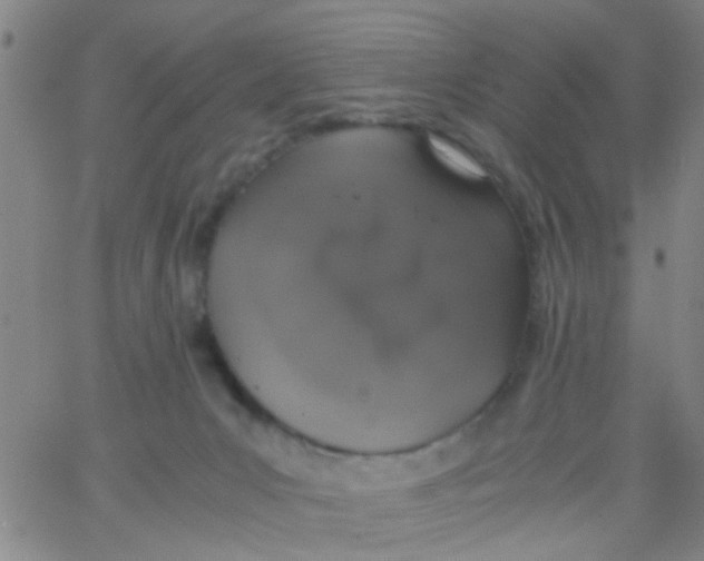 X0000062670031200601181911