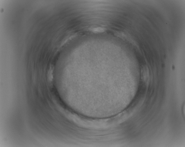 X0000062670032200601181911