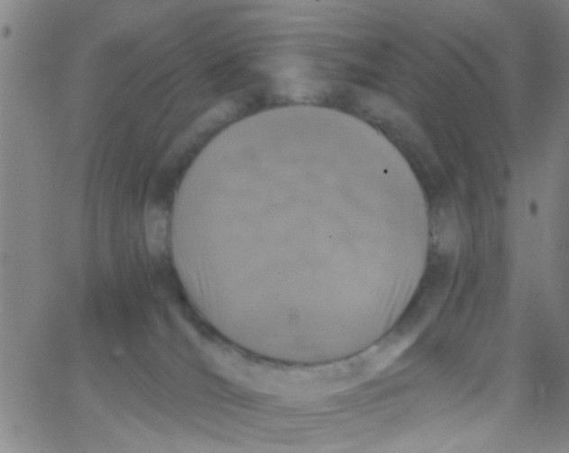 X0000062670036200601181911