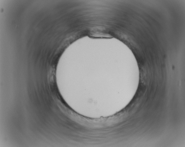 X0000062670038200601181911