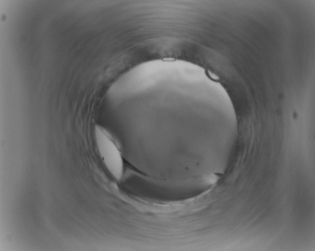 X0000062670039200601181911