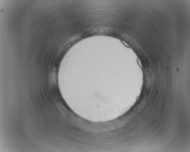 X0000062670042200601181911