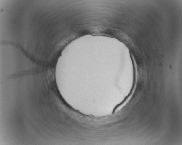 X0000062670043200601181911