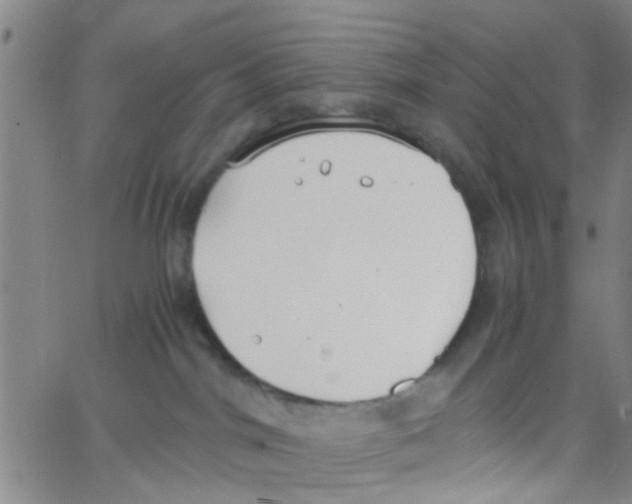 X0000062670044200601181911