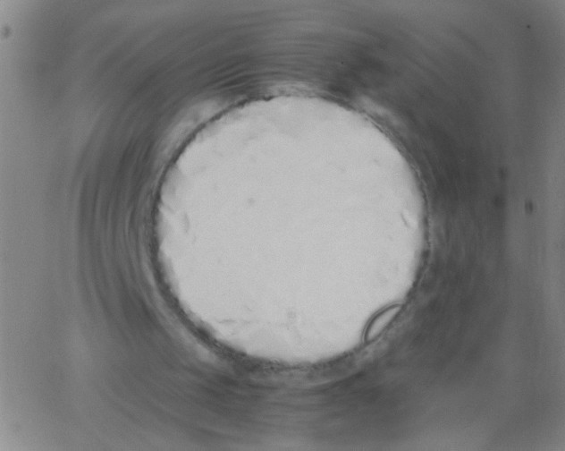 X0000062670049200601181910