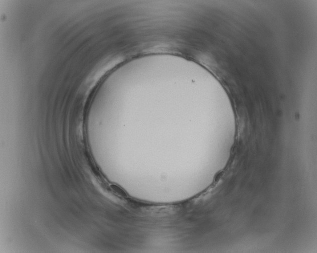 X0000062670050200601181910