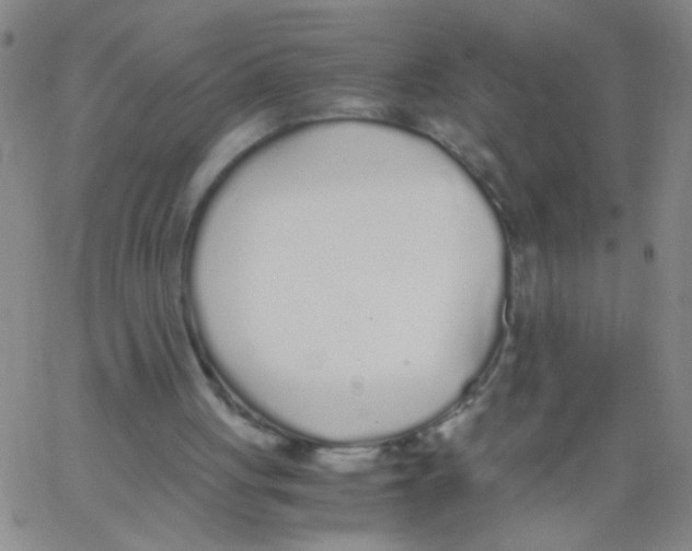 X0000062670051200601181910