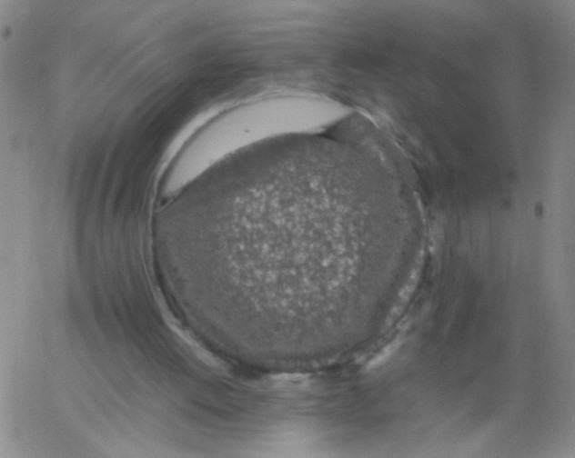 X0000062670052200601181910