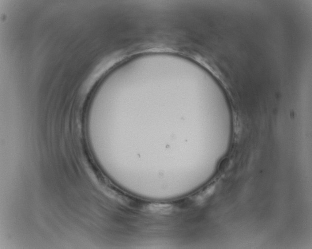 X0000062670055200601181910