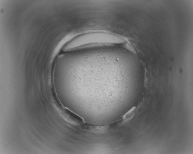 X0000062670056200601181911