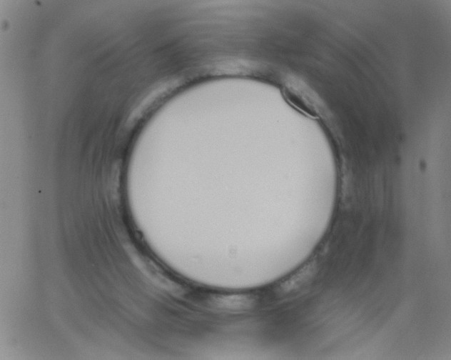 X0000062670058200601181911