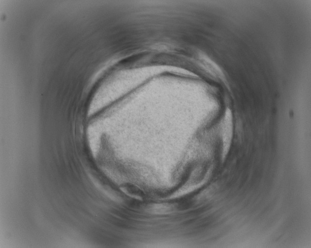 X0000062670059200601181911