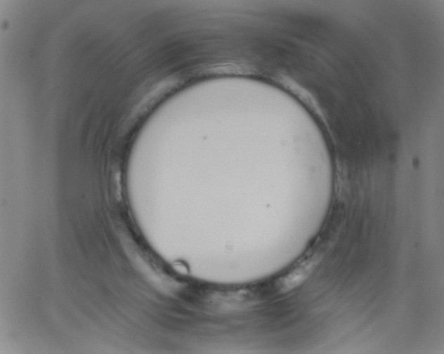 X0000062670061200601181911