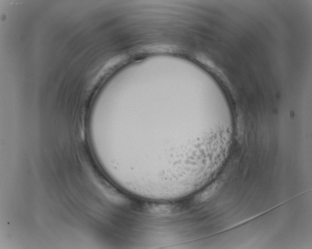 X0000062670062200601181911