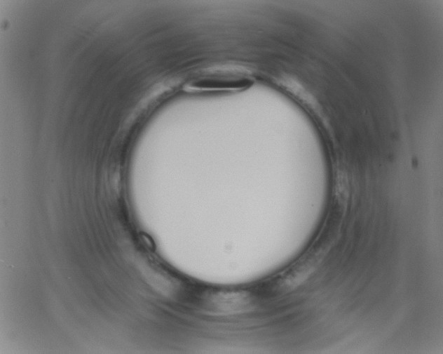 X0000062670063200601181911