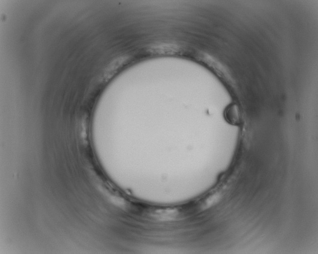 X0000062670065200601181911