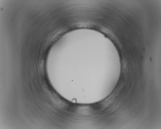 X0000062670066200601181911