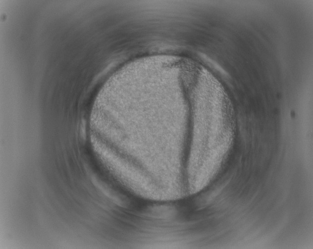 X0000062670067200601181911