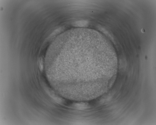 X0000062670069200601181911