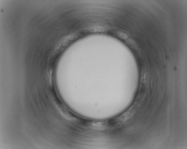 X0000062670070200601181911