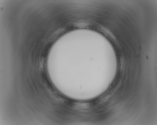 X0000062670073200601181911