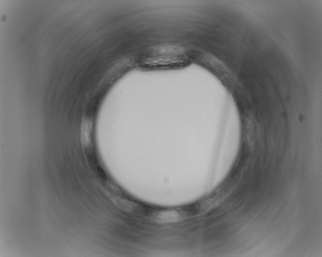 X0000062670075200601181911