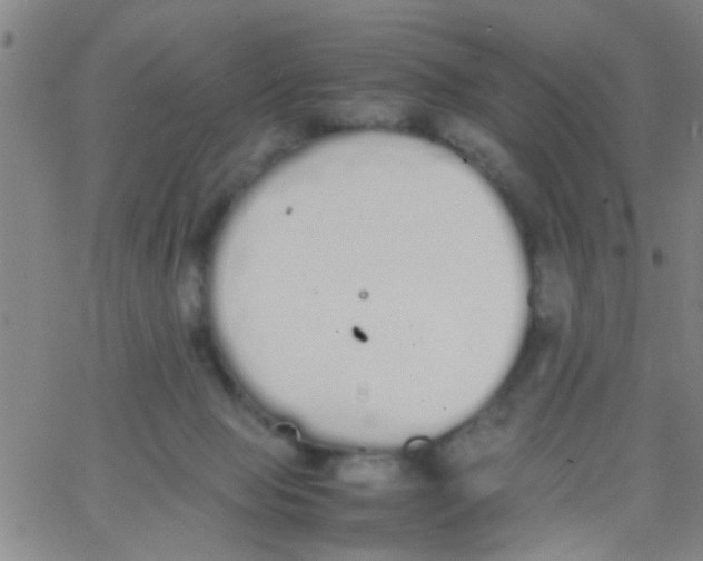 X0000062670077200601181911