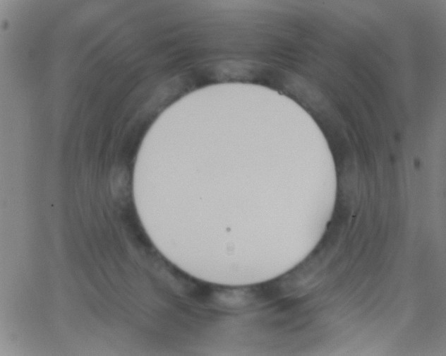 X0000062670079200601181911