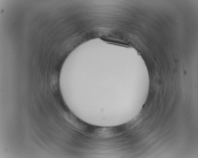 X0000062670082200601181911